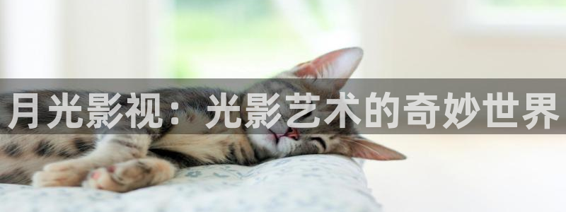 極速 影院：月光影視：光影藝術(shù)的奇妙世界