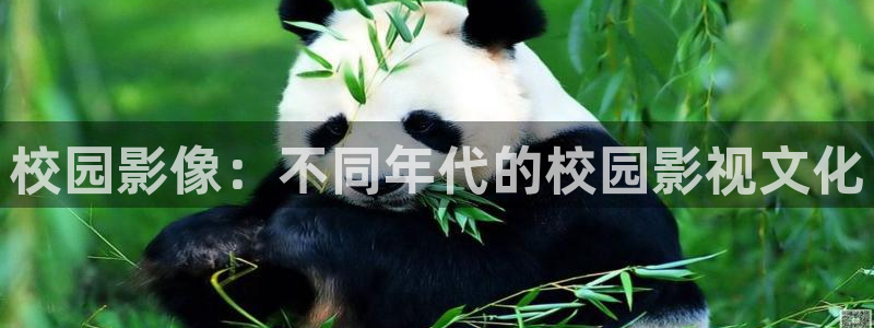 極速影院6080：校園影像：不同年代的校園影視文化